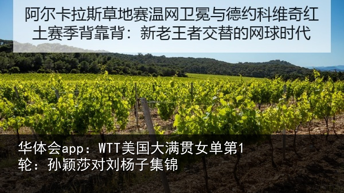 华体会app：WTT美国相关情况颖莎对刘杨子集锦